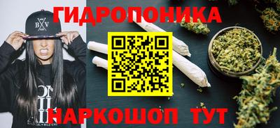 не бодяженный Бийск