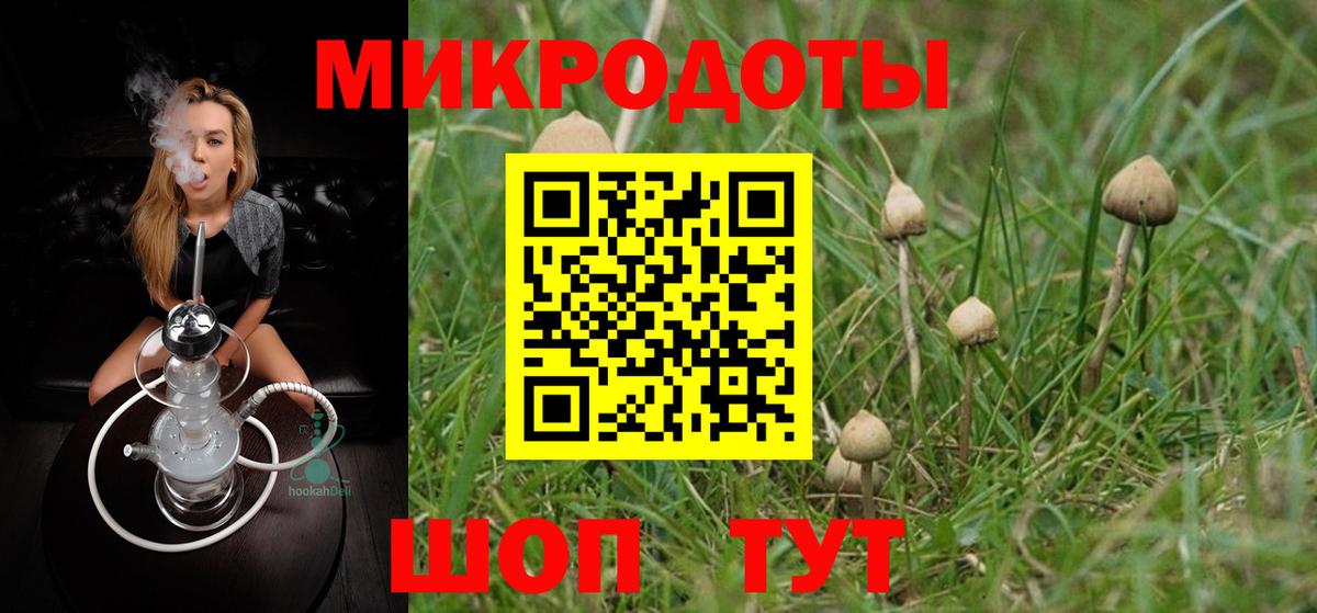 Псилоцибиновые грибы прущие грибы Ишим